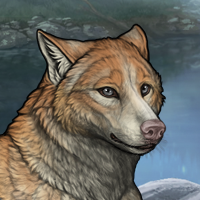 Wolf Headshot