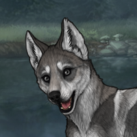 Enclave Pup Headshot