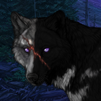Wolf Headshot