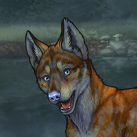 Chaser Headshot