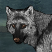 Wolf Headshot