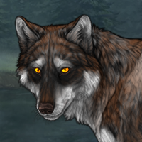 Wolf Headshot