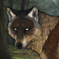 Fern Headshot