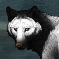 Wolf Headshot