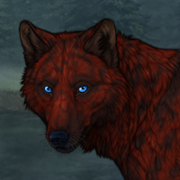 Bloodshadow Winterwolf Headshot