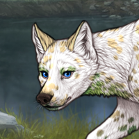 Male Piebald: Dalmatian Headshot