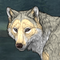 Wolf Headshot