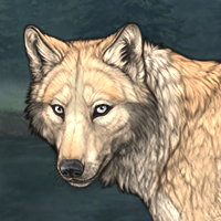 Unnamed Wolf 2 Headshot