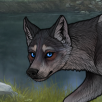 Blueschist Chase Headshot