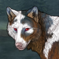 Tuta - Piebald Headshot