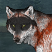 Wolf Headshot