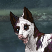 Piebald: Torn Headshot