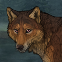 Tusk Headshot