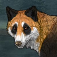 Red Panda from Coniferous Headshot