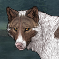 Piebald #1 Elmpaw Headshot