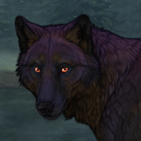 Midnight Menagerie Headshot