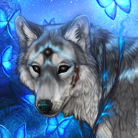 Wolf Headshot
