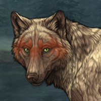 Wolf Headshot