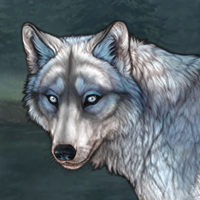 Argent Husky ( S) Headshot