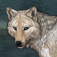 Zerd Headshot