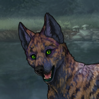 Umbra Puppy - 5M Headshot