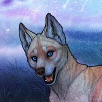 Kelpie Headshot