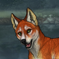 T3 Fox Male Pup Headshot