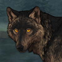 Wolf Headshot