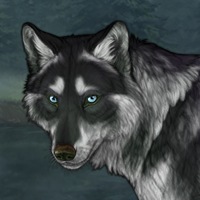Fern Headshot