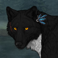 Wolf Headshot
