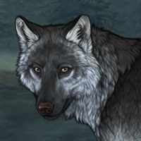 Wolf Headshot