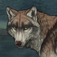 Wolf Headshot