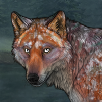 Moldy Fox Headshot