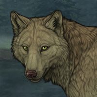 Kelpie Headshot