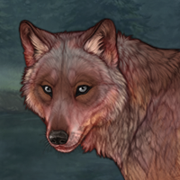 Howling Fox Headshot