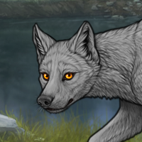 Silverpaw Headshot