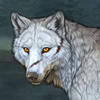 Wolf Headshot