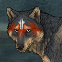 Wolf Headshot