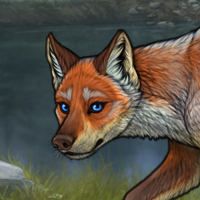 Fox puppers Headshot
