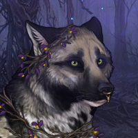 Wolf Headshot