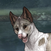 Piebald Headshot