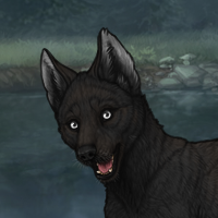 Bran's Pup F2 Headshot
