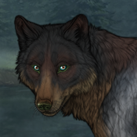 The woody Wolf Headshot