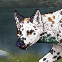 Dalmatian 5 Headshot