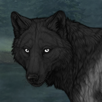 Traveling Werewolf Headshot