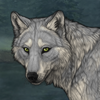 Unnamed Wolf 4 Headshot