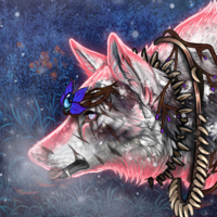 Wolf Headshot
