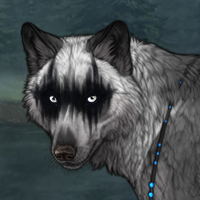 Crafty Racoon Headshot