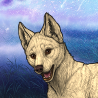 Female Pup Headshot