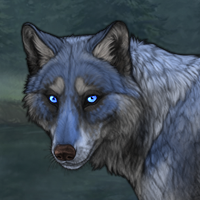 Bluefur Headshot